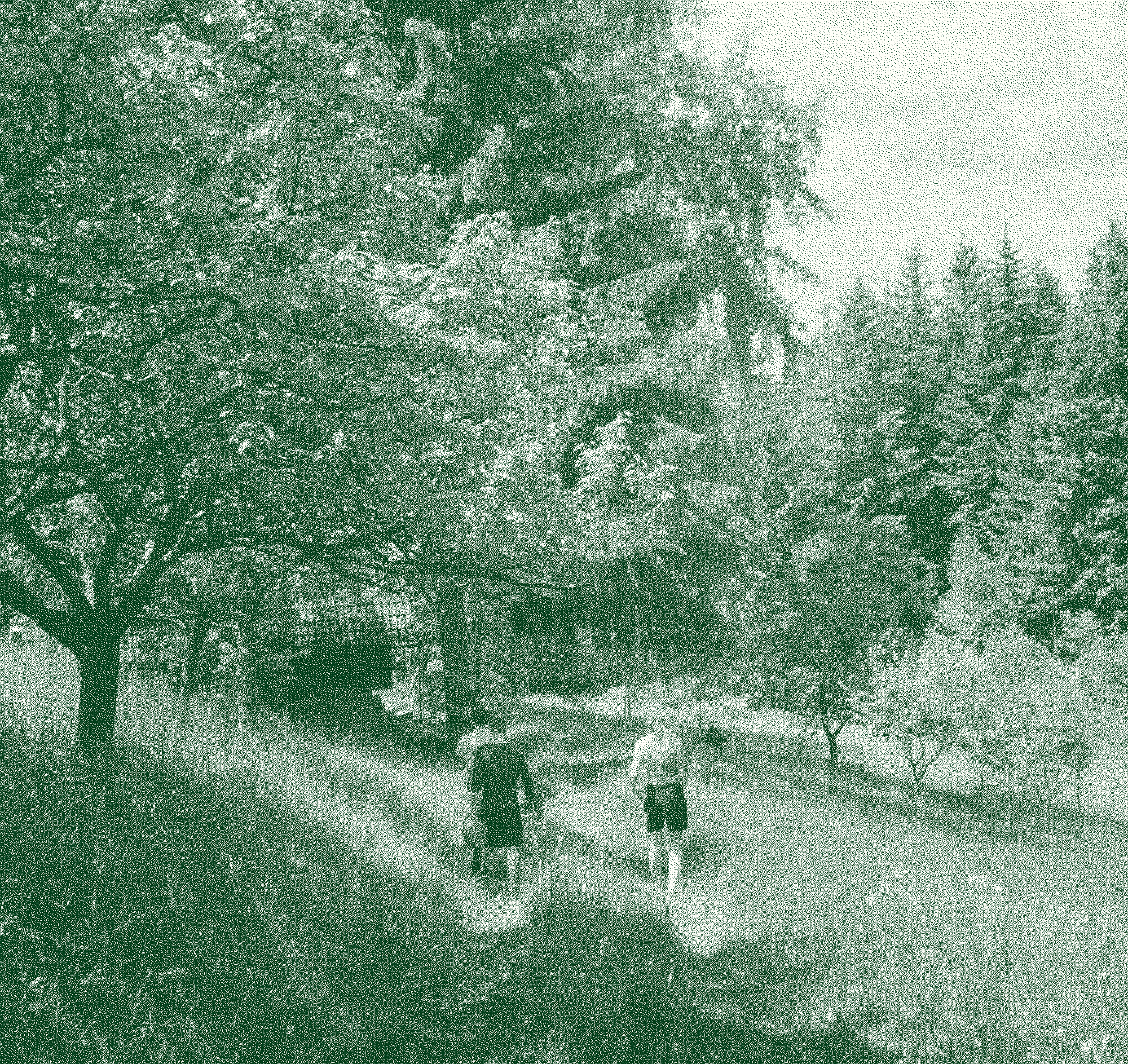 obrázek performera na stagi